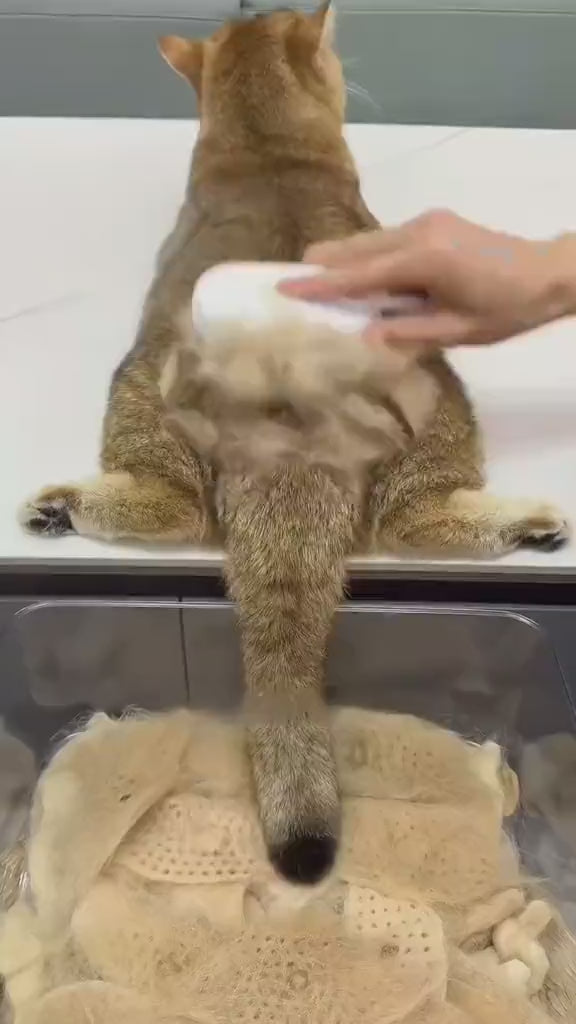 Spazzola a Vapore 3 in 1 per Animali Domestici